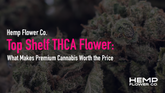 Top Shelf THCA Flower: What Makes Premium Cannabis Worth the Price